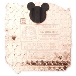 100310 - Pocahontas 30th Anniversary - Pocahontas 30th Anniversary Group alternate image