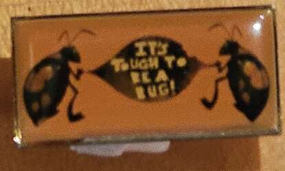 It's Tough To Be A Bug!