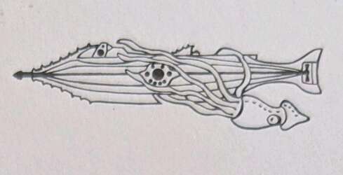 The Mysteries of the Nautilus