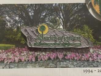 100892 - Shades of Green - Rock Logo - Walt Disney World