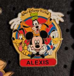 101373 - Personalized Custom Name Pins - WDW name pin - Walt Disney World
