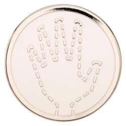 Invisible Woman Symbol