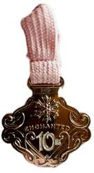 103208 - runDisney: Princess Half-Marathon Weekend - Enchanted 10k Silver Medallion on Pink - Walt Disney World