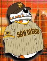SD-P.8 in San Diego Padres Jersey