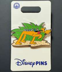 104247 - Pluto Pointing with Birds