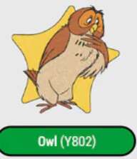 Owl (Y802)