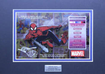 107436 - ACME - Character Key Variant Series - Spider-Man - Artland / ACME