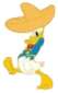 Donald with Sombrero