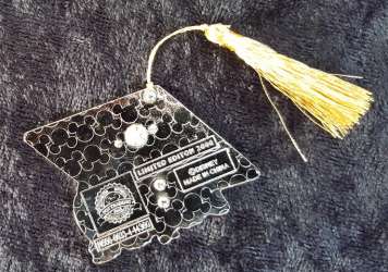 11311 - Graduation - 2015 Chip and Dale under cap with tassel alternate image