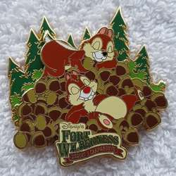 4552 - Fort Wilderness Resort & Campground - Chip and Dale - Walt Disney World alternate image