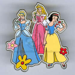 30214 - Disney Visa Card Rewards - Princess Flowers