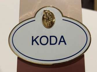 24201 - DEC - Cast Member Anniversary Name Tags - Koda (Brother Bear) 15th - Disney Employee Center alternate image