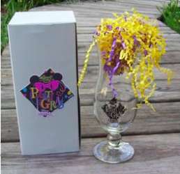 15728 - Mickey's Parti Gras - Goofy Coin Pin - Walt Disney World alternate image