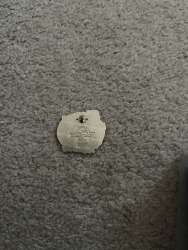 69236 - Adventures By Disney - Donald Show Me the Monet - Adventures by Disney alternate image