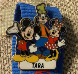 106891 - Personalized Custom Name Pins - Mickey, Minnie, Goofy - Walt Disney World