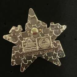 92742 - Wall-E with Green Star - Shanghai Disney Resort alternate image