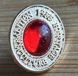 Disney University Walt Disney & You