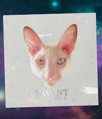 97142 - Gideon's Bakehouse - Savant Edition Winged Cat - Miscellaneous Non-Disney alternate image