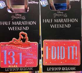 Half Marathon 2020 - 13.1 Miles - I Did It! Cinderella