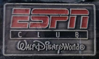 Rectangular Die Cut Walt Disney World Logo