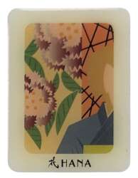 Hana