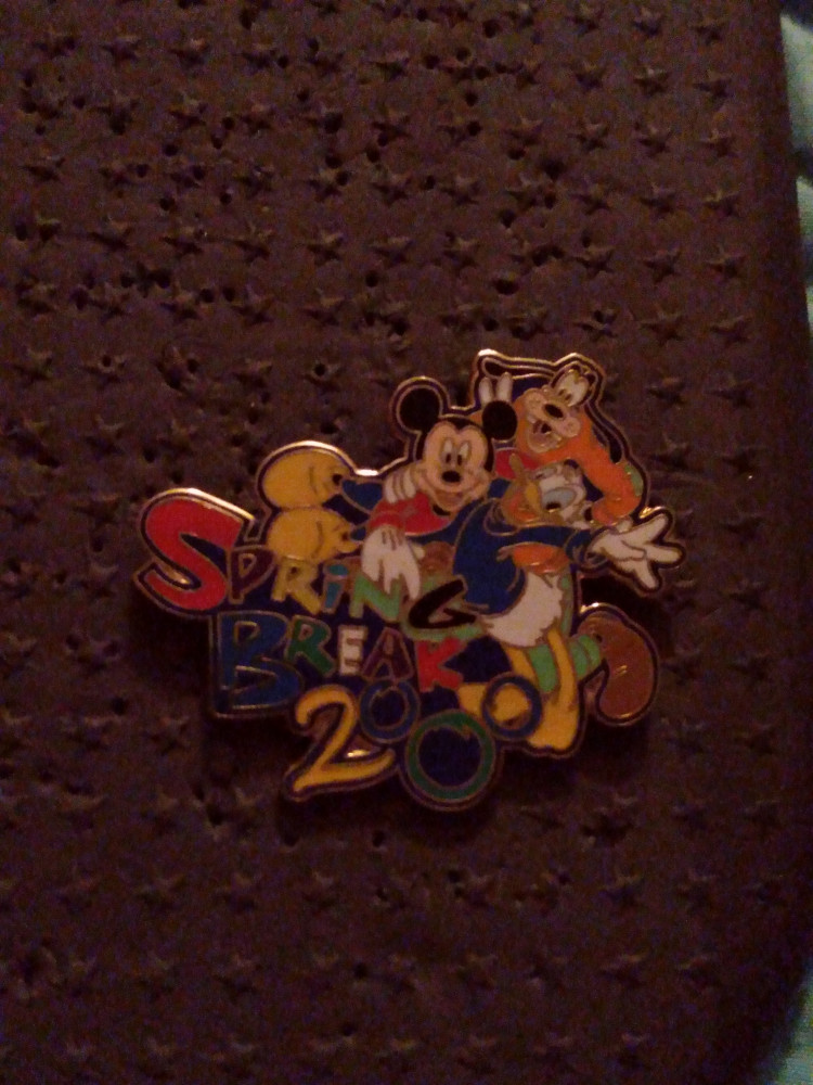 Mickey mouse and Goofy and Donald spring break - Spring Break | Pin & Pop
